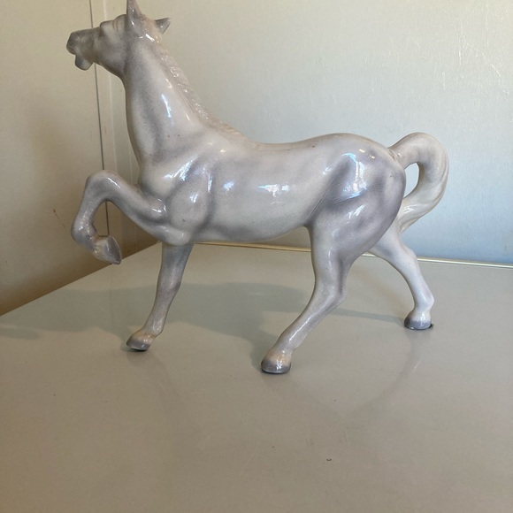 Horse 🐎 - Picture 2 of 6